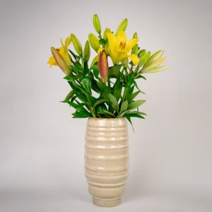 Flowers Only Lilien mix