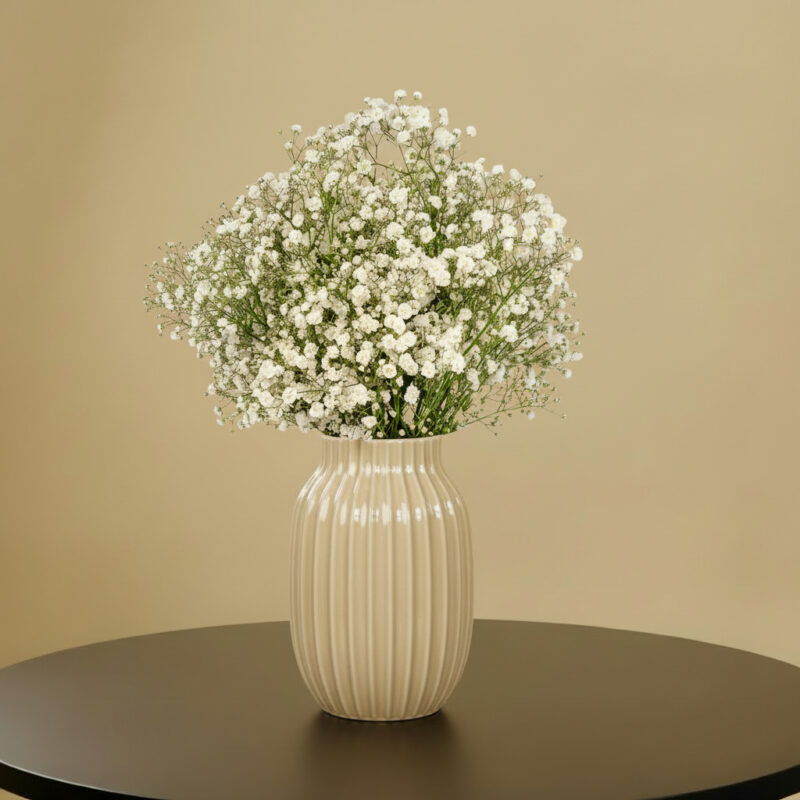 Flowers Only Schleierkraut